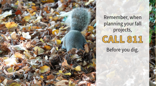 Call 811 before you dig!